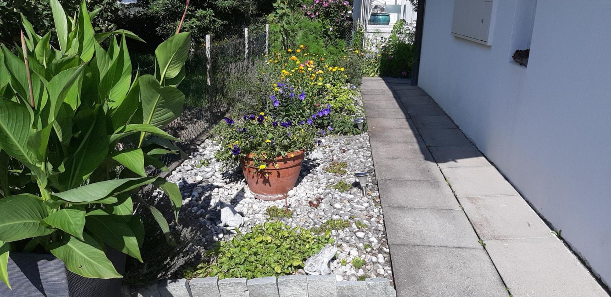 Studio In Domat Ems Værelse billede